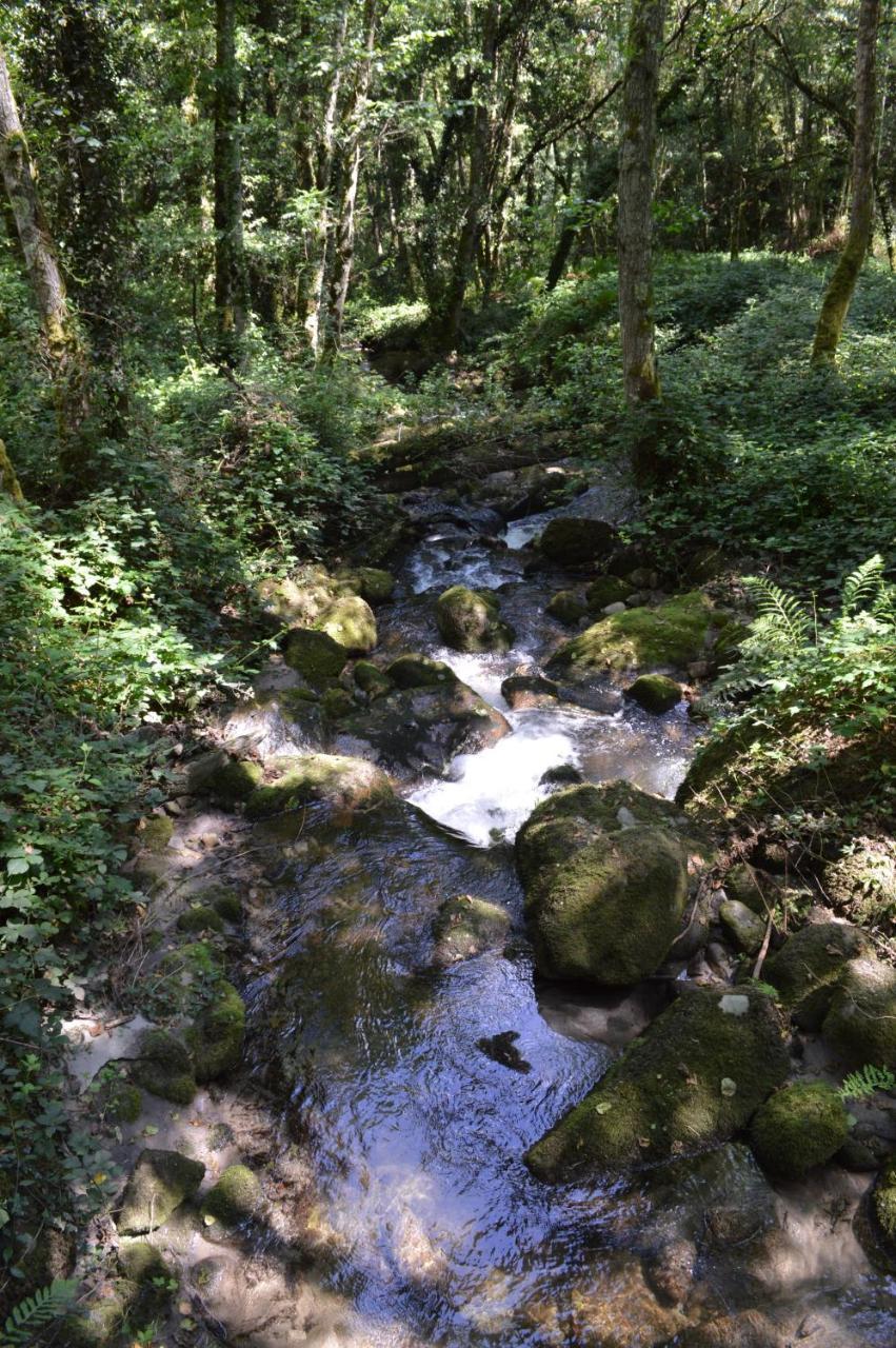 Olar de Rabacallos Buitenkant foto