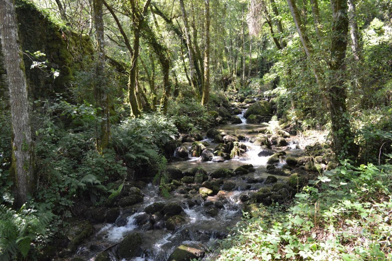 Olar de Rabacallos Buitenkant foto