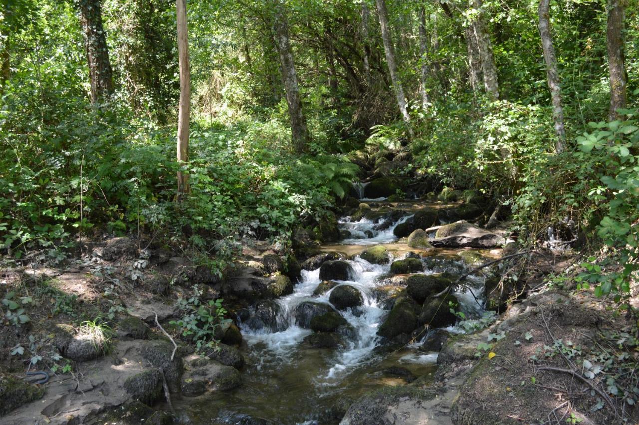 Olar de Rabacallos Buitenkant foto